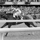 Illustration for article titled A Little Greedy, And Exactly Right: Red Smith On Secretariat